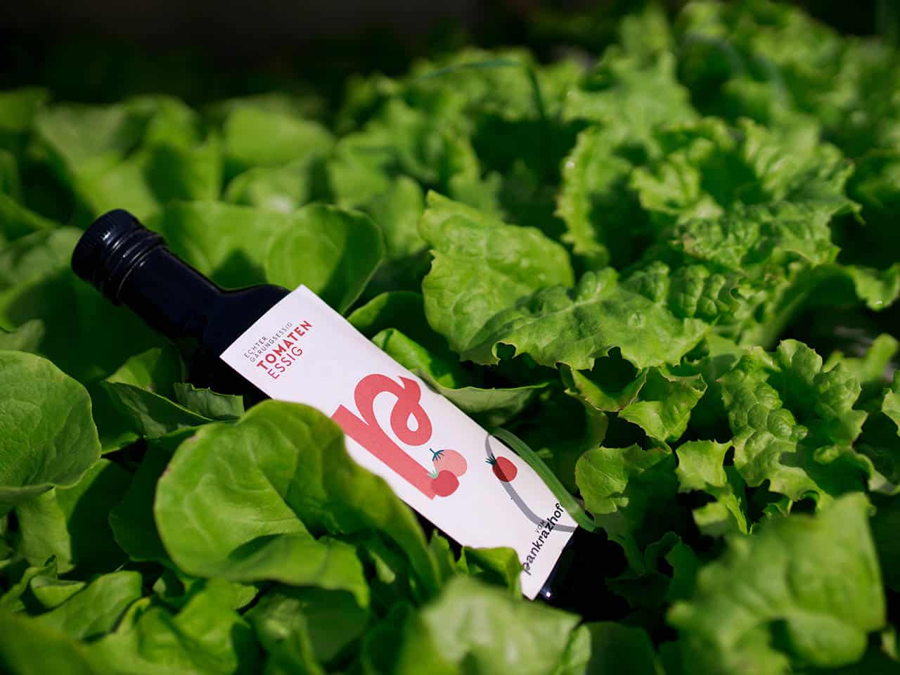 Bio Gärungsessig Pankrazhofer Essig Salat