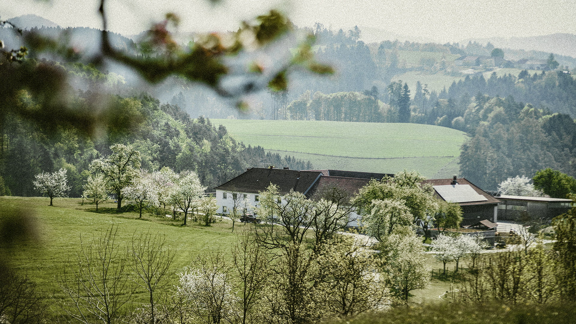 Bio Hof Pankrazhofer Muehlviertel Tragwein Vierkanter