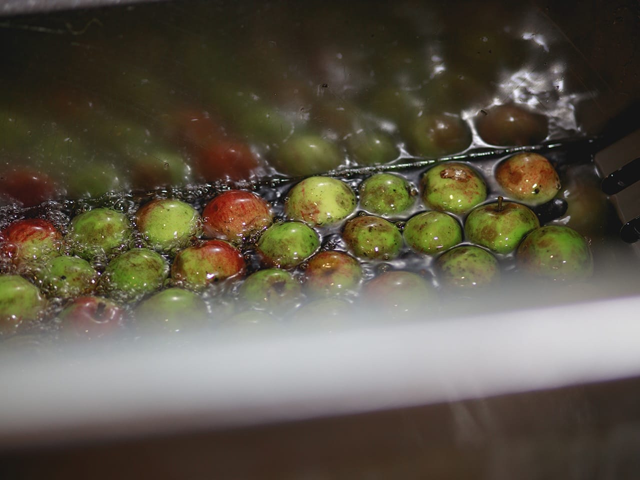 Bio Produktion Saft Äpfel waschen Pankrazhofer Muehlviertel