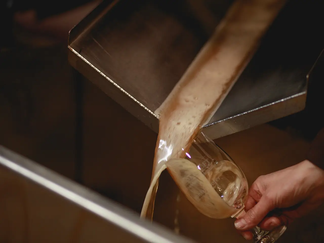 Bio Saft frisch gepresst Pankrazhofer Muehlviertel