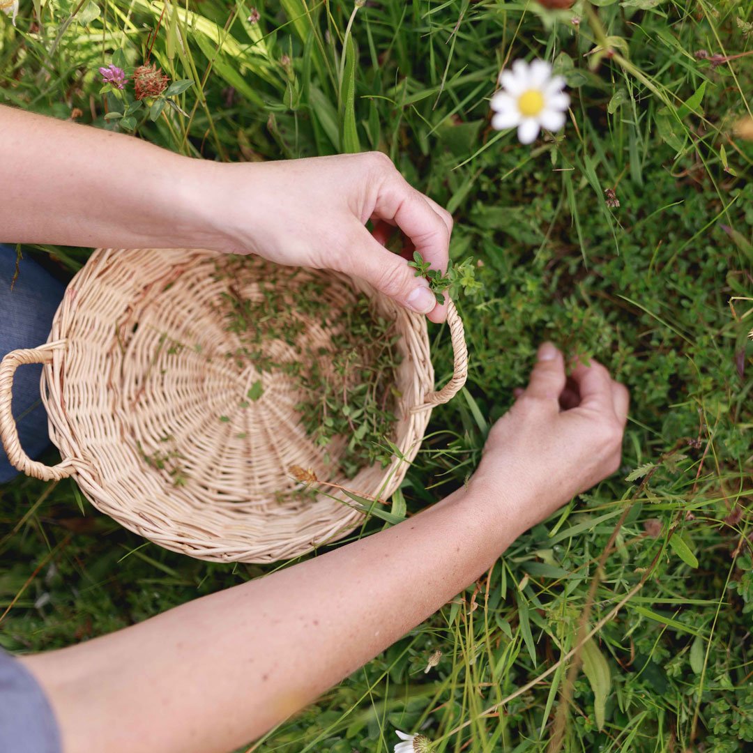 Quendel-Plfücken-Hände